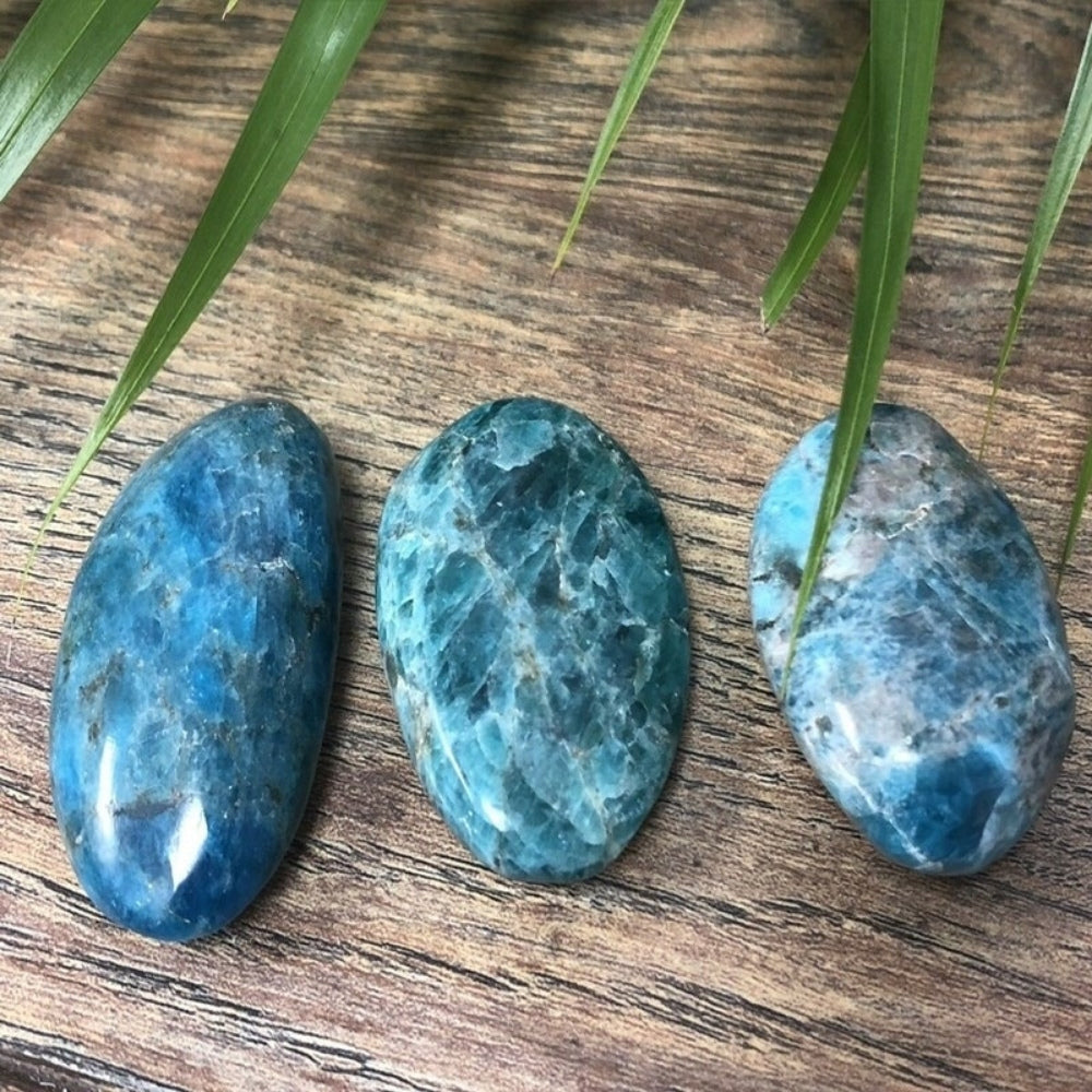 Blue Apatite Palm Stones